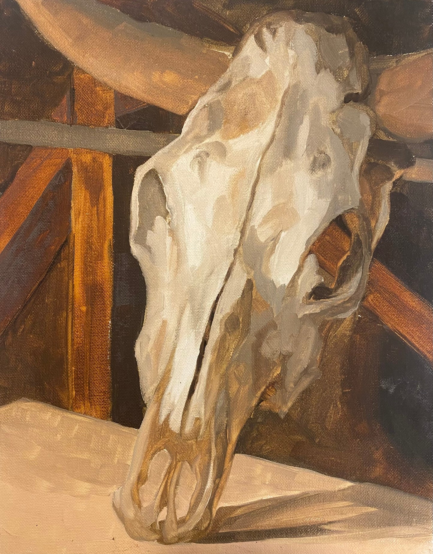 Cow Skull